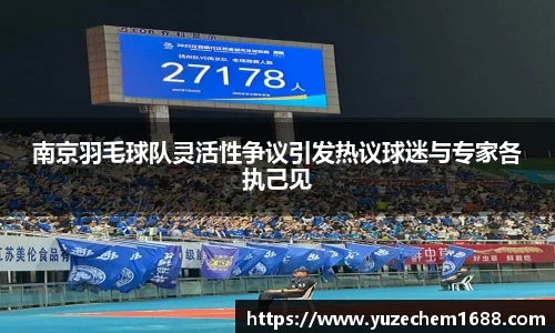 南京羽毛球队灵活性争议引发热议球迷与专家各执己见